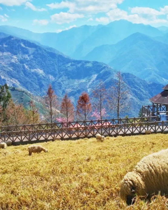 台東+日月潭+清境 7天環島之旅 【重本安排】花蓮火車站包乘搭火車回台北、清境農場、高美濕地、藍晒圖文創園區、七星潭、日月潭國家風景區《出發日期:逢星期一、三出發》 【免費代辦台灣簽證(網證)*】