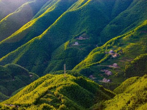 《世外桃源~馬安竹海+廣東鳳凰古城~山水雙合》保證入住國際品牌~Wyndham信宜蓮花湖溫德姆酒店+2024年全新開業~雲浮雲山鳳祺酒店式公寓【招牌果木脆皮燒鵝+山泉水鱘龍魚宴】 雲浮美景純玩3天團
