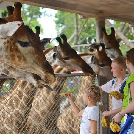 曼谷+大城+芭堤雅 5天玩樂之旅《獨家入住》2晚芭堤雅市中心四星級Shambhala Hotel Pattaya