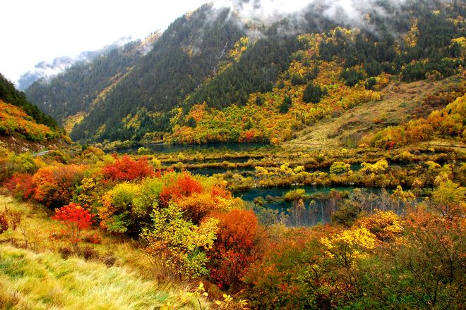 九寨溝 樹正群海