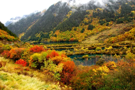 九寨溝 樹正群海