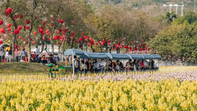 高明盈香生態園