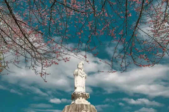 土樓媽祖文化節