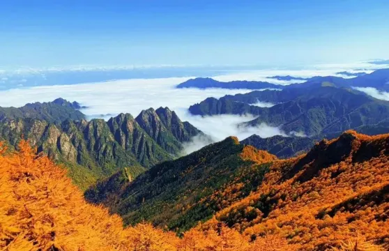 太白山國家森林公園