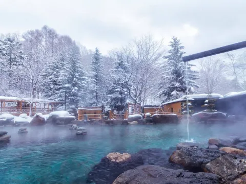 北湯澤綠之風溫泉酒店