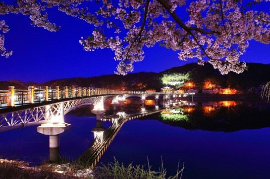 月映橋(賞櫻花)