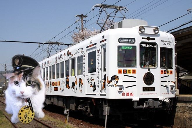 貓站長Nitama車站