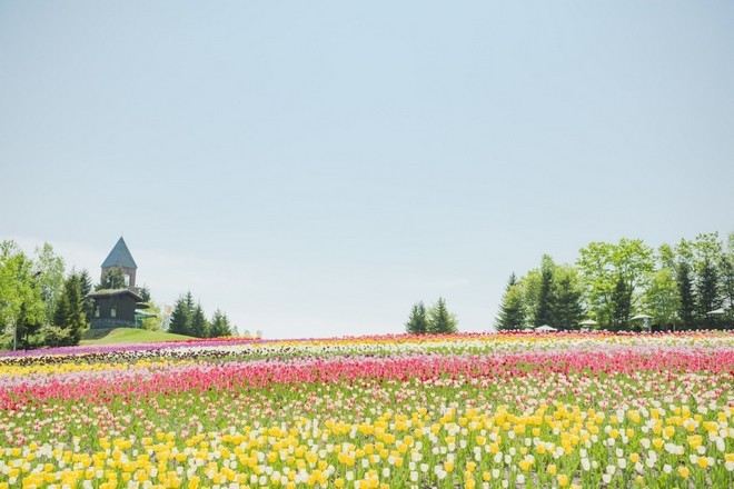 國營瀧野鈴蘭丘陵公園@北海道官方旅遊網