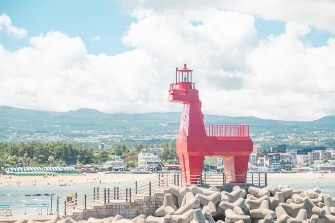 梨湖海邊小馬燈塔