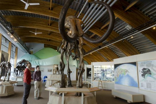 育空史前動植物解說中心2