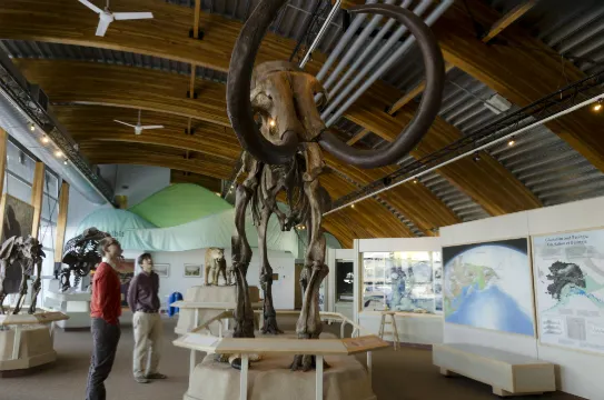 育空史前動植物解說中心2