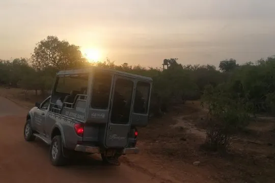 雅拉野生動物園(乘坐吉普車暢遊)
