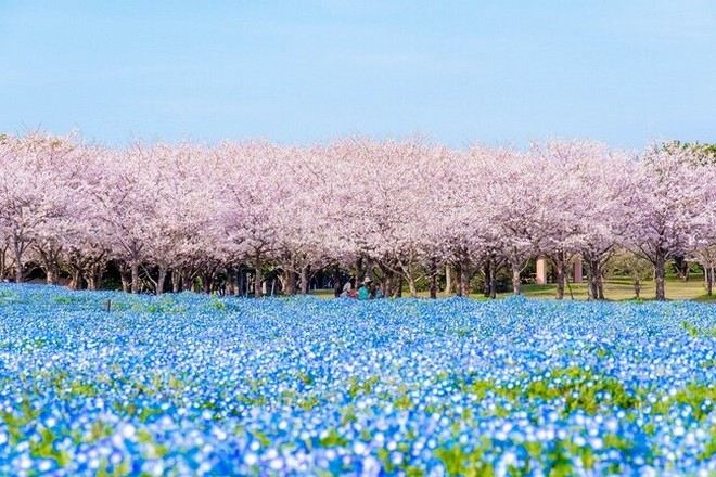 海之中道海濱公園