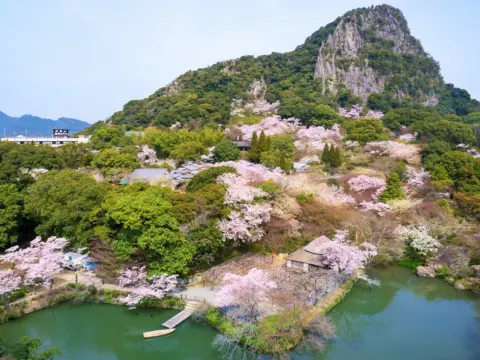 御船山樂園 ~櫻花祭