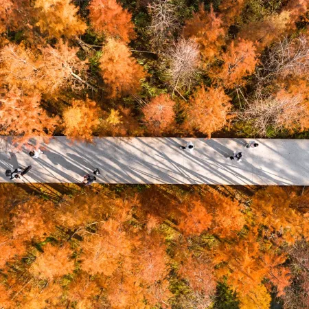 🍁秋色江西‧蟹逅仙境🍁九江、婺源、上饒、景德鎮、南昌6天純玩高鐵團  【賞秋勝景：婺源石城、篁嶺、鳳凰溝、廬山、魚尾洲公園】、日夜雙遊望仙谷、靈山(雲頂天梯)、弦高古城·西湖氹、景德鎮陶瓷DIY