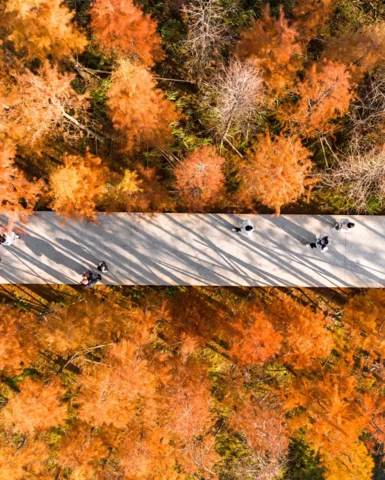 🍁秋色江西‧蟹逅仙境🍁九江、婺源、上饒、景德鎮、南昌6天純玩高鐵團  【賞秋勝景：婺源石城、篁嶺、鳳凰溝、廬山、魚尾洲公園】、日夜雙遊望仙谷、靈山(雲頂天梯)、弦高古城·西湖氹、景德鎮陶瓷DIY