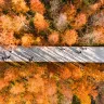 🍁秋色江西‧蟹逅仙境🍁九江、婺源、上饒、景德鎮、南昌6天純玩高鐵團  【賞秋勝景：婺源石城、篁嶺、鳳凰溝、廬山、魚尾洲公園】、日夜雙遊望仙谷、靈山(雲頂天梯)、弦高古城·西湖氹、景德鎮陶瓷DIY