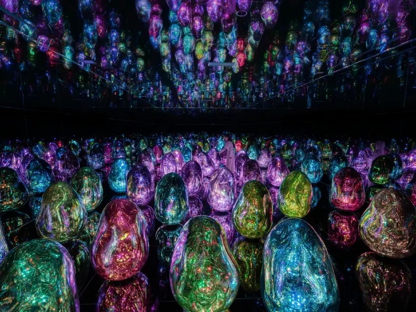TeamLab Biovortex Kyoto 
