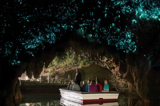 2018update_Waitomo Glowworm Caves 1516 NZ Boat with Glowworms at Exit
