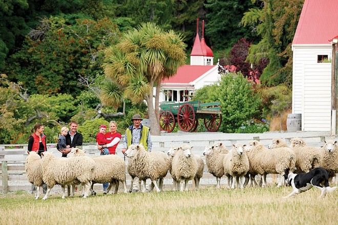 瓦爾特峰高原牧場