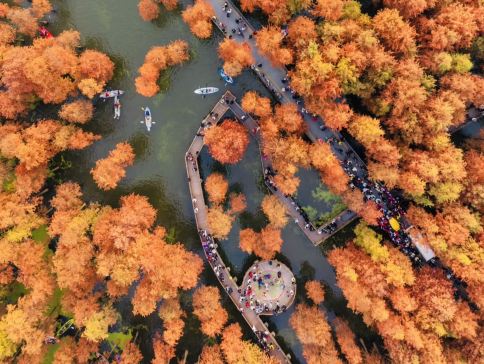 黃山之巔‧江南韻 (杭州、黃山、宏村、千島湖)6天團 《世界自然與文化雙遺產》黃山、青山湖水上森林~千畝杉樹林、《世界自然遺產》西湖風景區、千島湖(登上3個島+飲咖啡賞夕陽)、徽州古城、宏村
