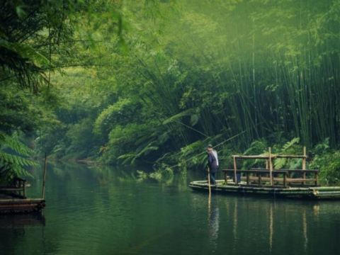 赤水竹海國家森林公園