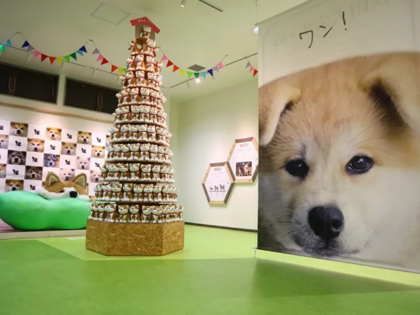 秋田犬之里