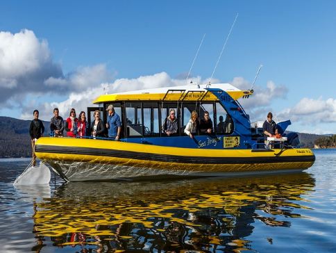 【尊享澳航貴賓室】【Chill住食海鮮】塔斯曼尼亞、墨爾本擁抱大自然Chill歎佳餚8天之旅/前往童話般的寧靜小鎮~里奇蒙/俯瞰「全球十大絕美海灘之一」酒杯灣/前往約高達1,271米的威靈頓山