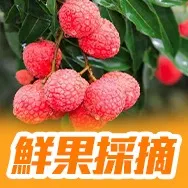 廣東省主題2