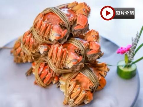 【🦀雙蟹盛宴·奢享江南】上海、杭州、蘇州、宜興、南京 品蟹賞秋6天團   天平山賞紅葉/網師園、明孝陵燕雀湖賞秋/牛首山、西湖風景區、陽澄湖風景區、御窯金磚博物館、黃浦江外灘【全程入住凱悅旗下酒店】