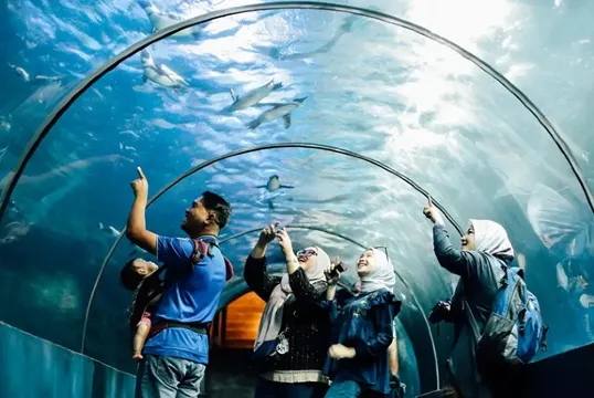 蘭卡威海底世界Underwater World