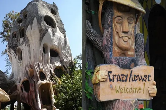 CRAZY HOUSE