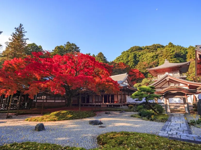 雷山千如寺