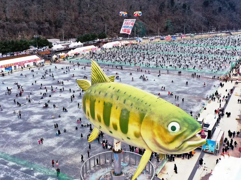 華川山鱒魚慶典