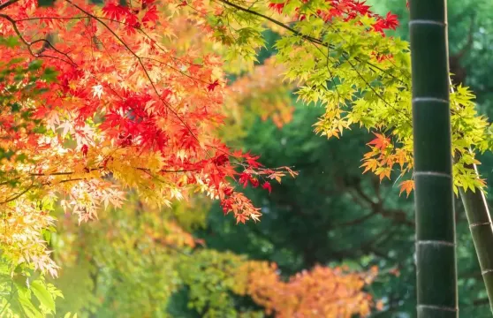 石門國家森林公園