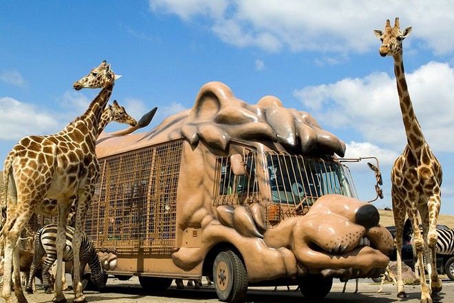 九州自然動物公園