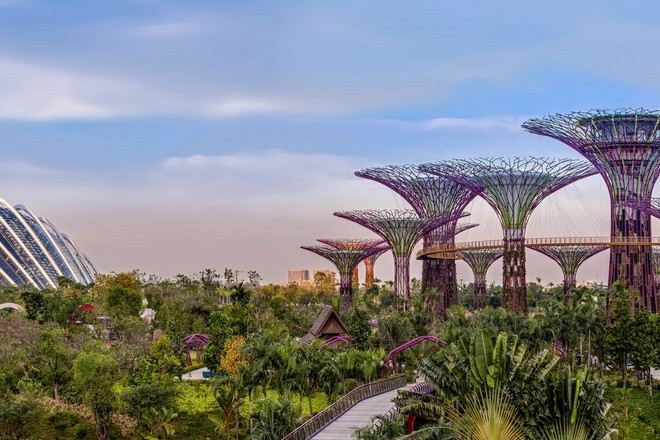 Gardens By The Bay 濱海灣花園