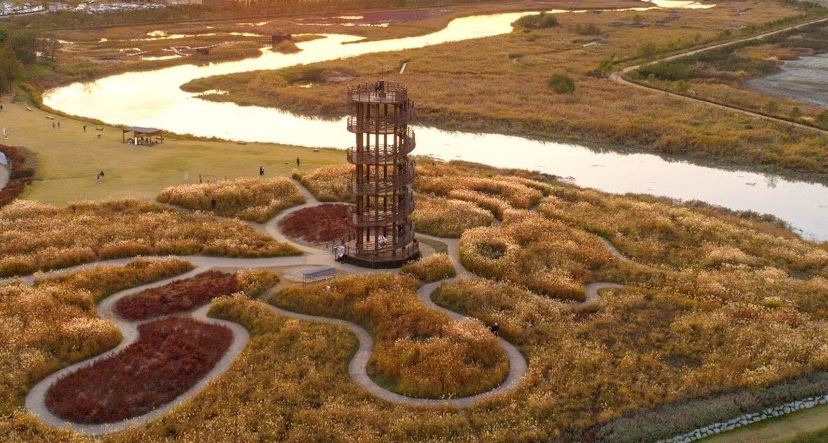 始興河溝生態公園 秋