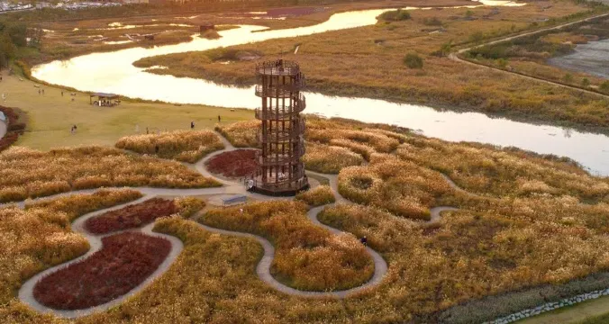 始興河溝生態公園 秋