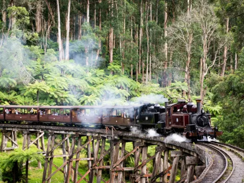 普芬古董蒸氣火車 