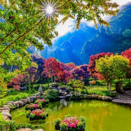 新登場 杉林溪 溪頭 + 台中 + 台北 5天賞花之旅   杉林溪森林生態渡假園區、松林町妖怪村、檜木泡澡球DIY、中社觀光花市花海、後龍過港隧道 、大稻埕碼頭貨櫃市集、深澳鐵道自行車體驗6月24日起