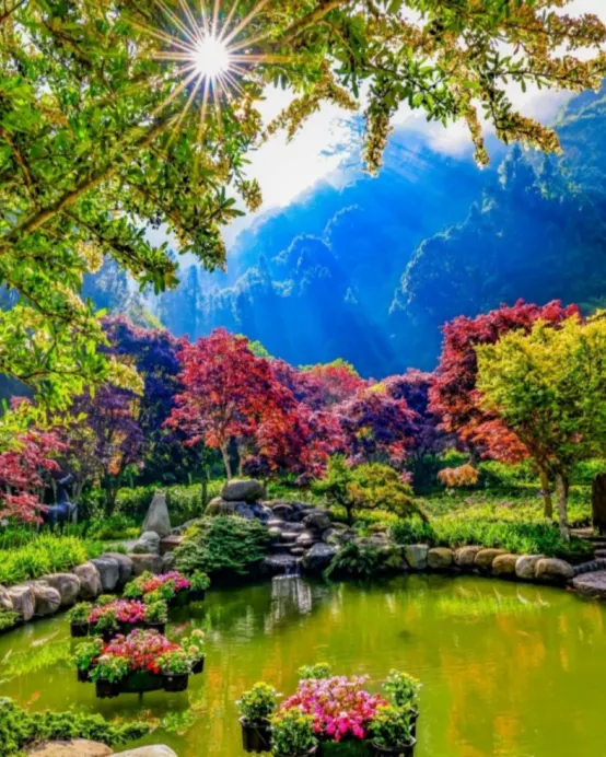 新登場 杉林溪 溪頭 + 台中 + 台北 5天賞花之旅   杉林溪森林生態渡假園區、松林町妖怪村、檜木泡澡球DIY、中社觀光花市花海、後龍過港隧道 、大稻埕碼頭貨櫃市集、深澳鐵道自行車體驗6月24日起