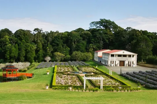 Jasmine_有機農莊