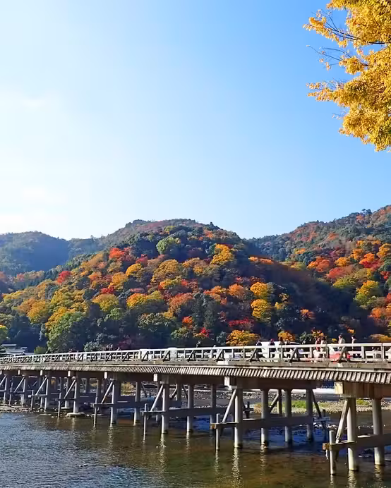 京阪神 古風秋色6天寫意之旅  「賞紅葉名所」及「海の京都」天橋立~傘松公園(包吊椅/單軌電車)、賞紅葉(嵐山風景區~渡月橋、紀三井寺)、「賞紅葉名所」東大寺+神鹿公園+大阪城公園+心齋橋