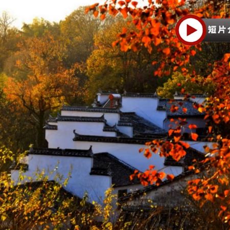 皖贛跨省尋秋(黃山、篁嶺、屯溪)  6天秋色賞景純玩高鐵團  黃山(北海、西海景區)住宿1晚黃山山上、呈坎八卦村(賞魚燈)、塔川秋色、篁嶺曬秋、「中國木雕第一樓」盧村、西溪南