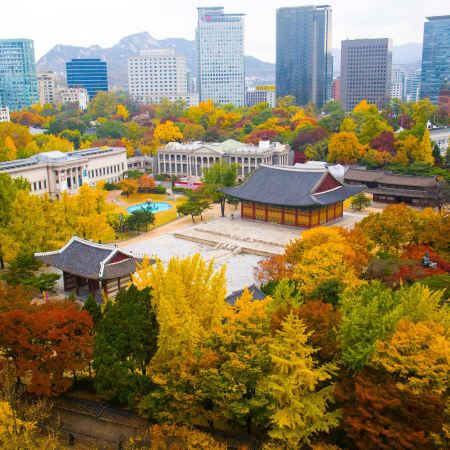 《周年尊享禮遇》首爾6天玩樂之旅 ※紺嶽山吊索橋、沉浸式體驗藝術長廊「極光道」、松月洞童話村、「DMZ非武裝地帶」臨津閣展望臺~和平Nuri公園~自由橋、德壽宮石牆路《 限定出發:11月29日 》