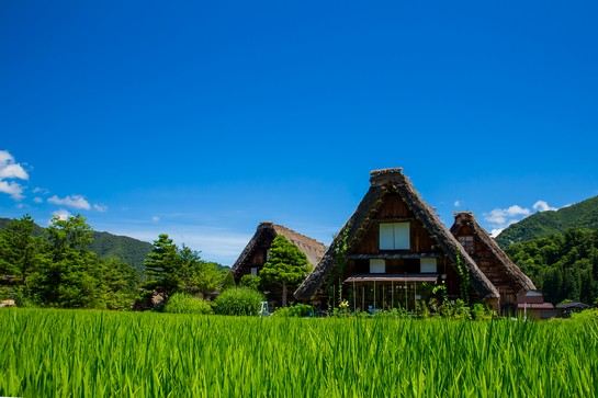 Japan Shirakawa-go summer 日本 白川鄉 (春天)