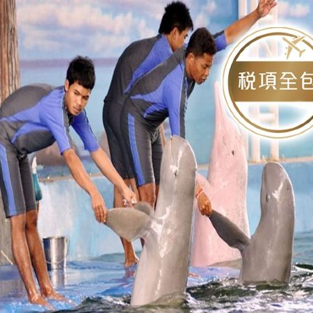 曼谷+芭堤雅親子6天團  *稅項全包*《保證入住》提升入住2晚Deluxe Premium客房親子同樂~無限暢玩酒店水上樂園