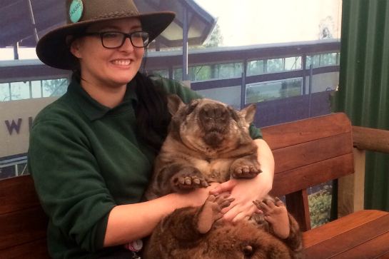 野心動物保護公園