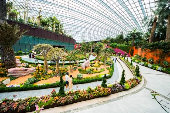 GardensByTheBay濱海灣花園_Flower Dome